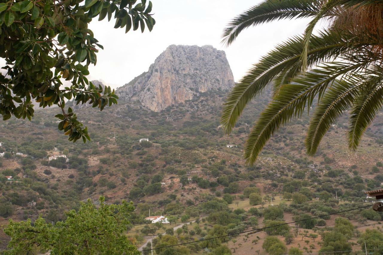 Lagar Del Chorro Junto Caminito Del Rey Piscina Y Baloncesto Διαμέρισμα Εξωτερικό φωτογραφία